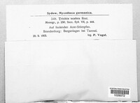 Image Associated With the Occurence